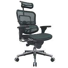 Luxura upholstery looks and feels like leather. Raynor Ergohuman Mesh High Back Chair Black Office Depot