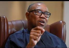 The Chairman of the chapter, George Omo-Iduhon, made this claim in an  interview with the News Agency of Nigeria....