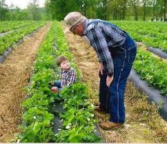 Image result for tbn:0PJB32OL7JwfOM::farm4.static.flickr.com/3324/3329876139_f2d551139f.jpg