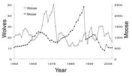 The Population Biology Of Isle Royale Wolves And Moose An