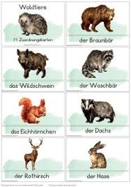 Maybe you would like to learn more about one of these? 20 Tierspuren Im Schnee Ideen Tierspuren Tierspuren Im Schnee Tiere