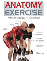Anatomy Of Exercise A Trainers Inside Guide To Your