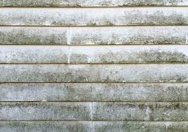 Green growth plans and strategies are also under development in indonesia, brazil and mexico as part of their work with the gggi and unep. Causes Of Mold Mildew On Siding Best Pick Reports