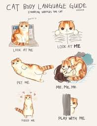 A Handy Guide To Cat Body Language Cat Body Crazy Cats Cat Language