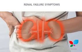 Acute renal failure (arf) or acute kidney injury (aki as it is now sometimes called in medical literature) has in the past had a very generic definition that generally consisted of. Renal Failure Symptoms Its Causes And A New Treatment Using Herbs Sehajmal