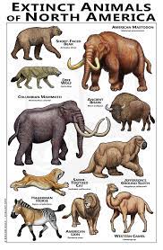 Extinct Animals Of North America Poster Extinct Animals Extinction Animals