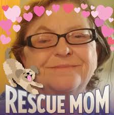 Has water been distributed to residents?