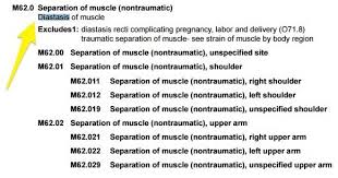 Https Hermanwallace Com Images Docs Icd10 Common Codes For Pelvic Rehab Pdf