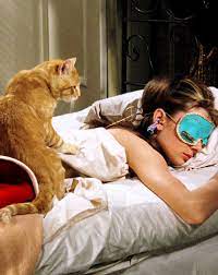 We did not find results for: A Shroud Of Thoughts Cat In Breakfast At Tiffany S