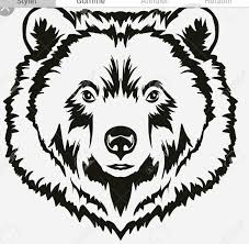Pin By Narek On Moto Bear Face Drawing Bear Drawing Face Drawing