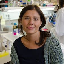 El cerebro es una máquina tan alucinante que lo raro es ser 'normal'»