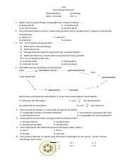 Check spelling or type a new query. Soal Soal Ujian Tengah Semester Mata Pelajaran Ipa Biologi Kelas Semester Viii 2 1 Bagian Darah Yang Berfungsi Mengangkut Sari Makanan Adalah A Course Hero