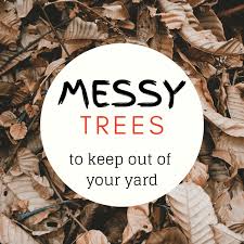 Jun 15, 2021 · as in putz's observation of the mangrove forest branches colliding tips, some believe that crown shyness is the end result of tree tips catching and snapping on those of their neighbors. 5 Worst Messy Trees For The Lazy Landscaper Dengarden