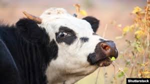 А нас-то за что?!