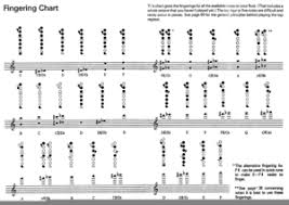 Flute Notes Chart Free Images At Clker Com Vector Clip