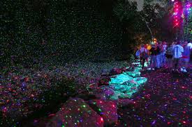 15 Things To Do In Montreal If You Can T Afford To Go On Vacation Forest Light Show Things To Do