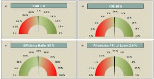 financial ratios bullet charts excel cfo