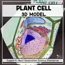 Maybe you would like to learn more about one of these? Plant Cell 3d Model Worksheets Teaching Resources Tpt