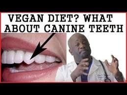 Humans Designed To Be Vegan What About Canine Teeth Dr Milton Mills Teeth Doctor Canine Tooth Human Design