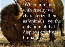 Pin By My Info On Animal Abuse Animal Rights Quotes Animal Lover Quotes Animal Quotes