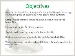 ppt butterfly life introduction to the butterfly life