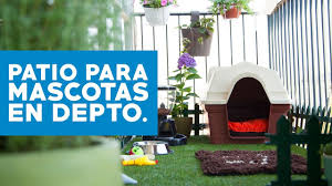 Gracias a un amplio patio y un porche con zona de estar. Como Hacer Un Patio Para Mascotas En Departamentos Youtube
