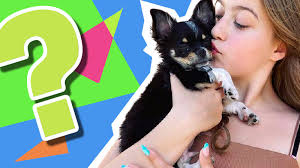 The Ultimate Claire Rock Smith Quiz