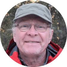 Snow Avalanche Dynamics and Impact