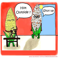 When you enjoy the special time of each year, these funny summer quotes will have you wishing it was summer all year long! Funny Sayings For When It S Hot Outside It S So Hot Outside I M Bacon A Ha Ha To Funny No