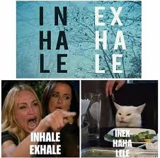 Toe Bean Lickin Good Caturday Memes 35 Memes Crazy Funny Memes Funny Cat Memes Internet Funny