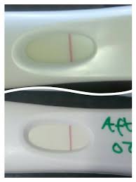 First Response Positive Or A Indent Or Evap Line 12dpo
