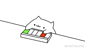 Bongo Cat Plays Hej Monika On Keyboard Space Cat Cat Playing Bongo