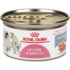 Royal Canin Feline Health Nutrition Mother And Babycat Canned Cat Food