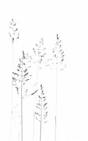 Aesthetic Pinterest Line Art Black And White Wallpaper 54 Ideas For Plants Photography Print Black And White Flowers Flower Drawing Plant Photography