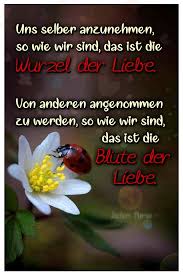 Pin Von Thats Life Spruchbilder Auf Liebe Jochen Mariss Liebe Wurzel