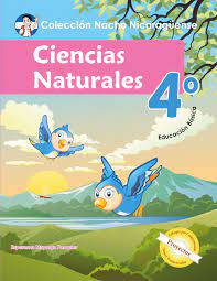 Descargar guía del docente 1°: Calameo Ciencias Naturales 4 Grado