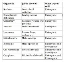 Cell Organelles Chart Worksheets Cell Organelles Organelles Cells Lesson