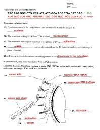 Dna Replication Worksheet Answers Pin On Teas Science Prep Tips For Chemistry Transcription And Translation Dna Transcription Dna Transcription And Translation