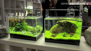 26 Model Aquarium Ikan Hias Minimalis Terbaru 2020 Dekor Rumah Di 2020 Planted Aquarium Aquascaping Aquarium