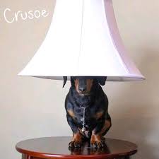 The Lamp Crusoe The Celebrity Dachshund Dog Lamp Dachshund