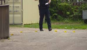 Nathan HOWES Archives