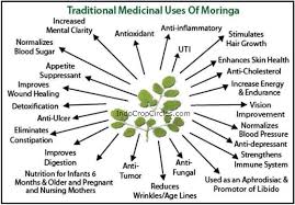 Check spelling or type a new query. Dunia Barat Sebut Pohon Kelor Miracle Tree Apa Keajaibannya Mysterious Thing Conspiracy Controversy Ufo Alien Archeology Science Universe