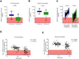 The titer corresponds to the highest dilution factor that still yields a positive reading. Age Dependent Immune Response To The Biontech Pfizer Bnt162b2 Covid 19 Vaccination Medrxiv