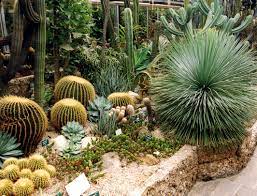 52 yorum, makale ve 64 resme bakın. Botanischer Garten