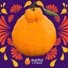 We did not find results for: Sumo Citrus Knot Your Average Mandarin Jupiter Group