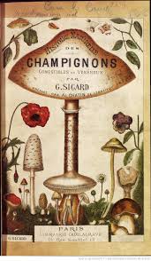 Histoire Naturelle Des Champignons Comestibles Et Veneneux Par G Sicard Preface Par Ad Chatin Champignon Comestible Champignons Farcis Art De Champignons