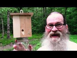 13 7 Easy Steps To Best Simple Homemade Carpenter Bee Trap Youtube Carpenter Bee Trap Bee Traps Carpenter Bee