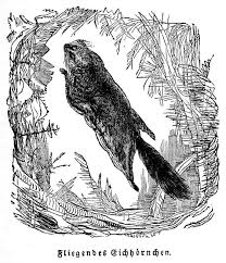Den unteren teil des briefes über den unteren teil der beim ecken einfalten entstandenen lasche legen und dann den oberen teil der lasche darüber falten. The Project Gutenberg Ebook Of Ansiedlungen In Den Urwaldern Von Canada By Dr F A Wiese
