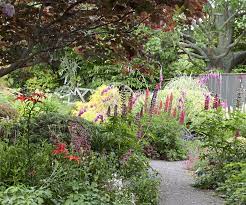 6 Low Maintenance Alternatives To A Lawn That Won T Break The Bank Lawn Alternatives Low Maintenance Perennials Grass Alternative