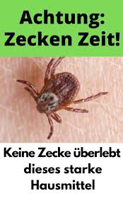 So Vermeidest Du Garantiert Gefahrliche Zeckenbisse Borreliose In 2020 Zecken Hausmittel Zecke